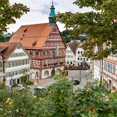 Stuttgarter Umland – hier finden Käufer noch Neubauten