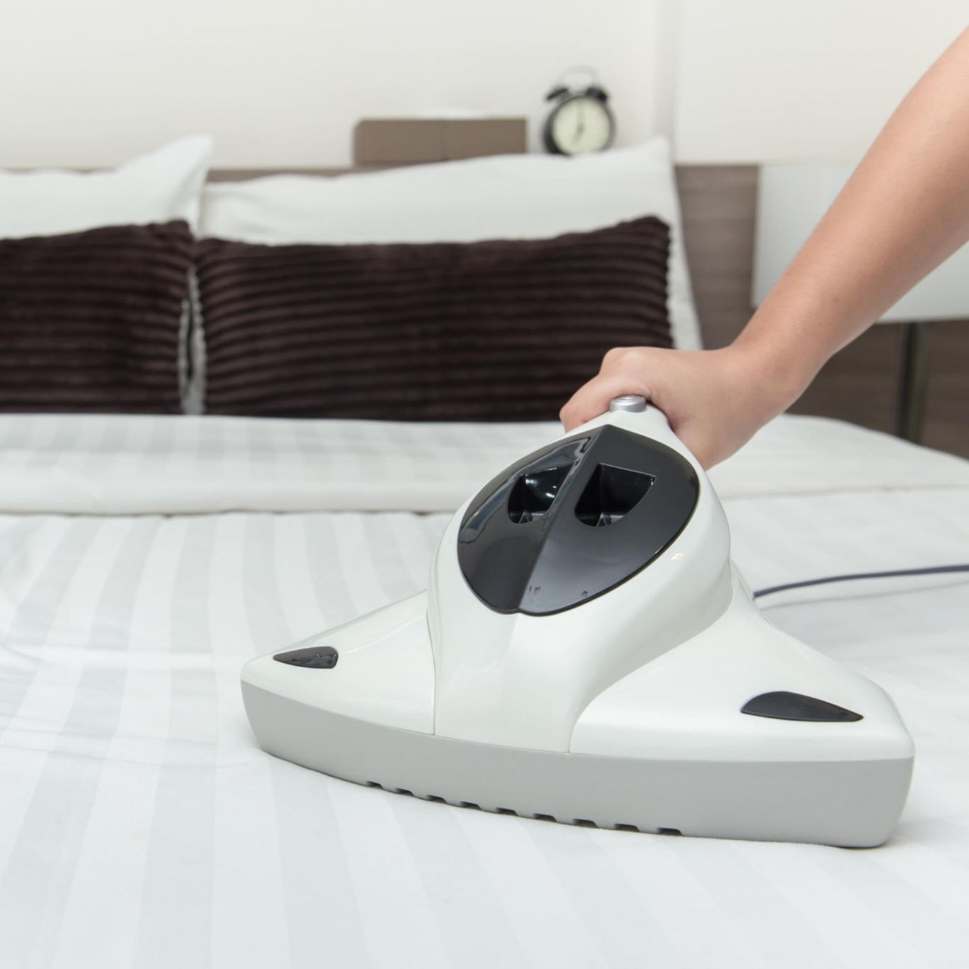 Milben bekämpfen: So reduzieren Sie den Befall im Schlafzimmer