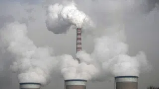 Historikerin: «Marktfundamentalisten verhindern Klimaschutz»