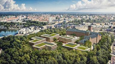 Hasso Plattner und "seine" Stadt
