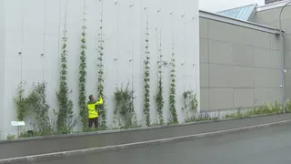 Wie sich Schweizer Städte abkühlen wollen