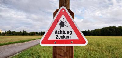 „Es sind außergewöhnlich viele Zecken zu einem sehr frühen Zeitpunkt“