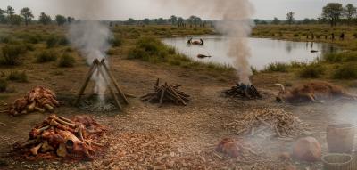 Schon die Neandertaler setzten auf Nahrung aus industrieller Herstellung