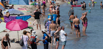 Vibrionen in Nord- und Ostsee – darauf sollten Sie achten