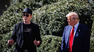Trump wird für Musk zum Problem