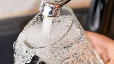Wie TFA Nahrung und Trinkwasser bedroht