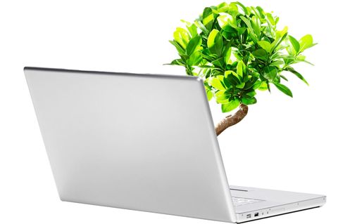 Warum auch Computer-Programme schlecht für die Umwelt sein können