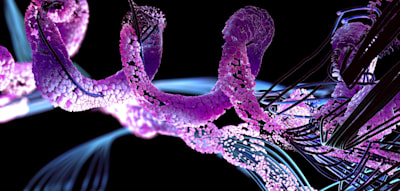 Deutsche Forscher entwickeln Protein zur Behandlung von Blinden und Herzkranken