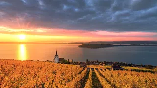 Der Klimawandel verbessert unseren Wein