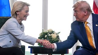 Streit über EU-Gesetz bremst Zoll-Deal mit Trump