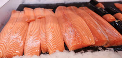 Die deutsche Liebe zum Lachs übersteht sogar das Parasiten-Problem