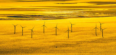 Offshore-Windparks und ein neues ökologisches Risiko