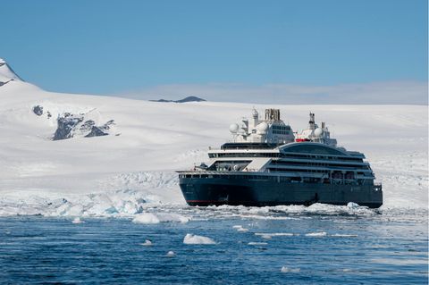 Russische Luxus-Kreuzfahrt versinkt in Krypto-Skandal