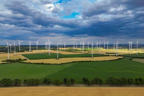 Umweltverband WWF sieht Brandenburg bei Energiewende vorn