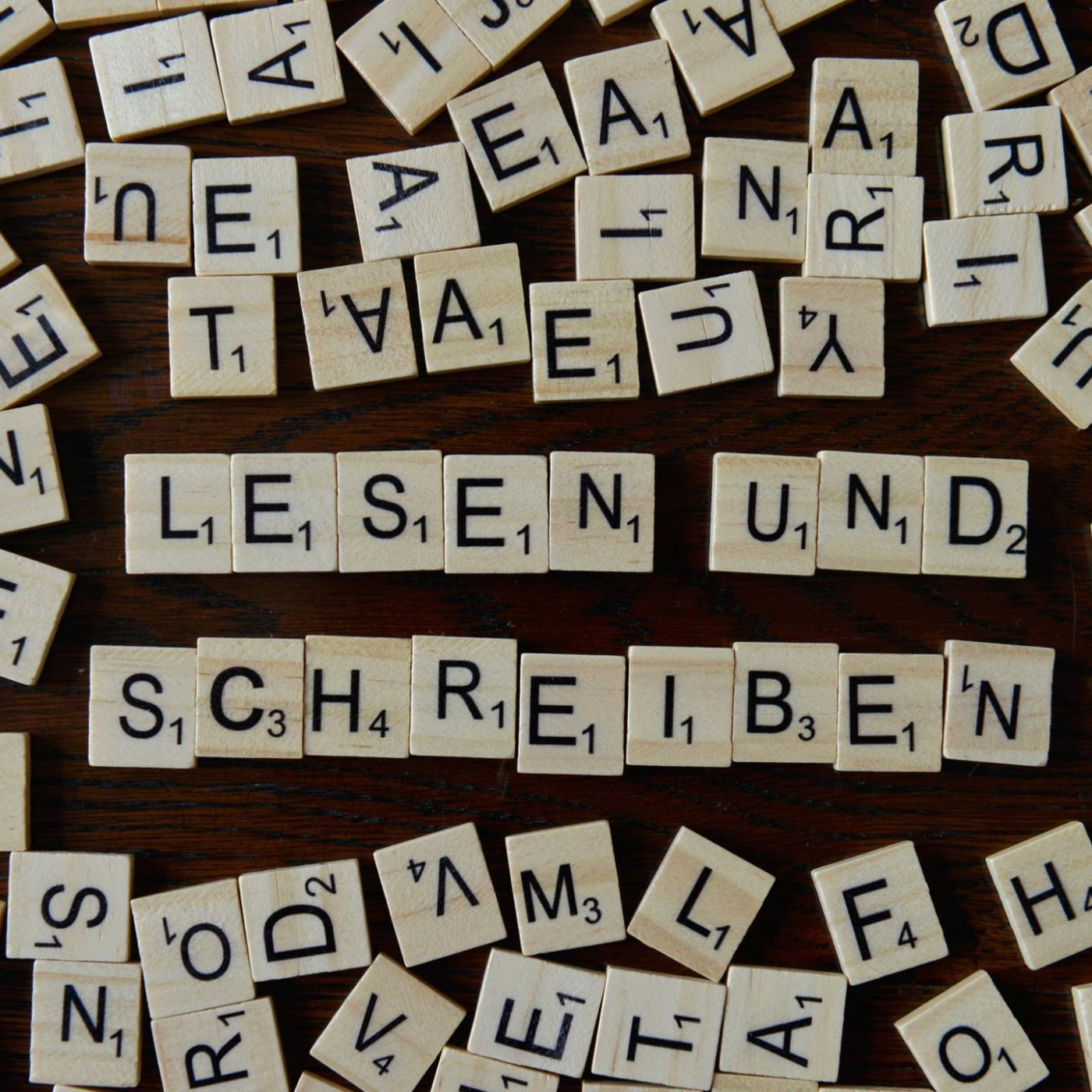 "Von fehlender Lesefähigkeit profitieren populistische Parteien"