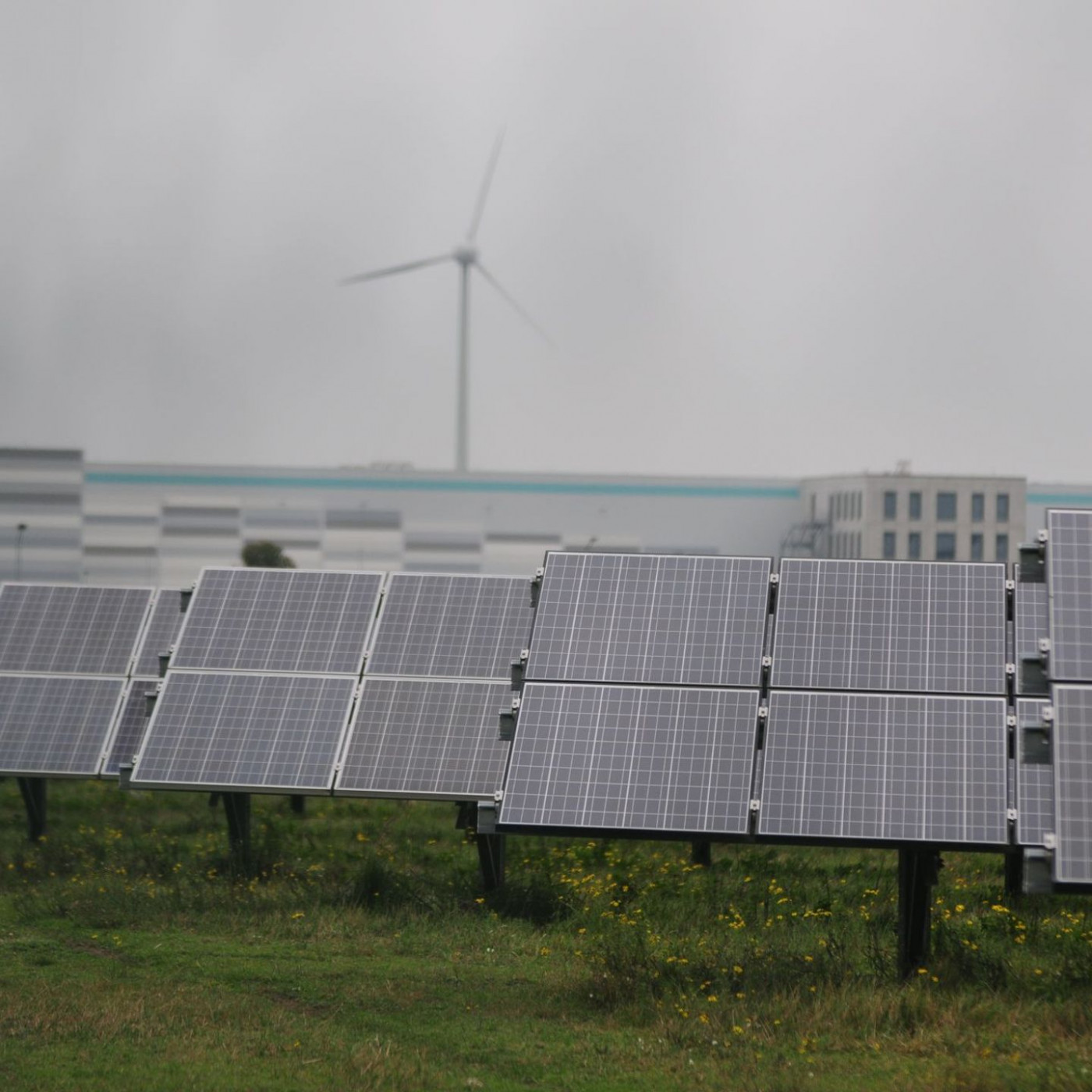Solarfirma Meyer Burger: Rettungsversuche gescheitert