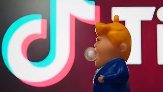 Ein US-Rat soll den Tiktok-Algorithmus kontrollieren