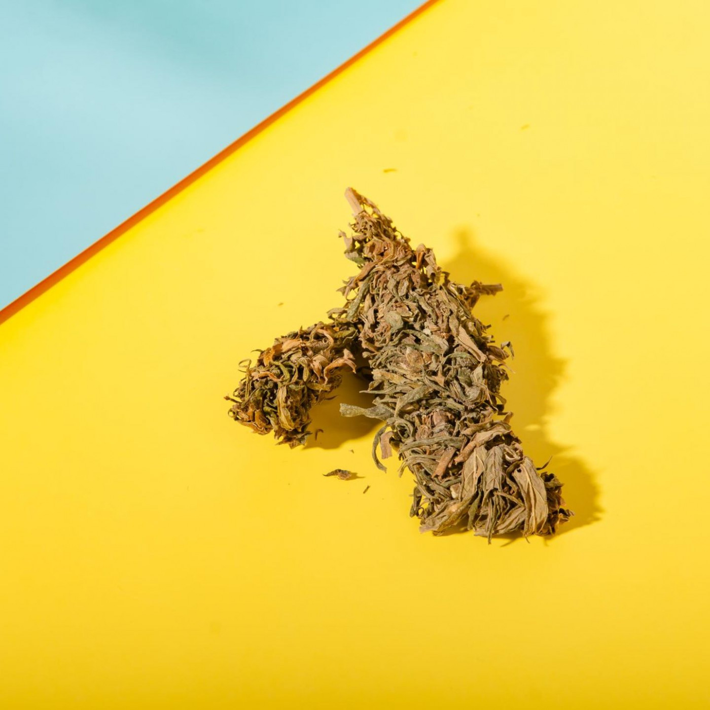 Cannabismedikament gegen Rückenschmerzen: Grün ist die Hoffnung