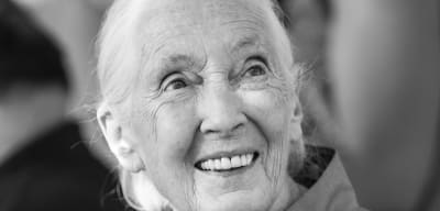 Die Frau, die den Blick auf den Menschen revolutionierte