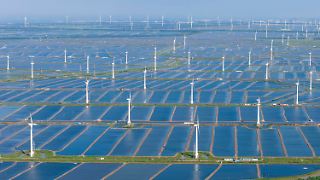 Studie: Erneuerbare lösen Kohle als größte globale Stromquelle ab