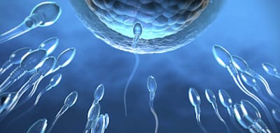 Wie stark Mutationen in Spermien mit dem Alter zunehmen