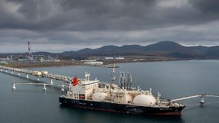 Mehrheit der EU-Länder stimmt für Ausstieg aus russischem Gas