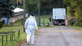 Brandenburger Geflügelhalter müssen 130.000 Tiere töten