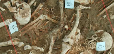 Diese Krankheiten brachten Napoleons „Grande Armée“ zu Fall