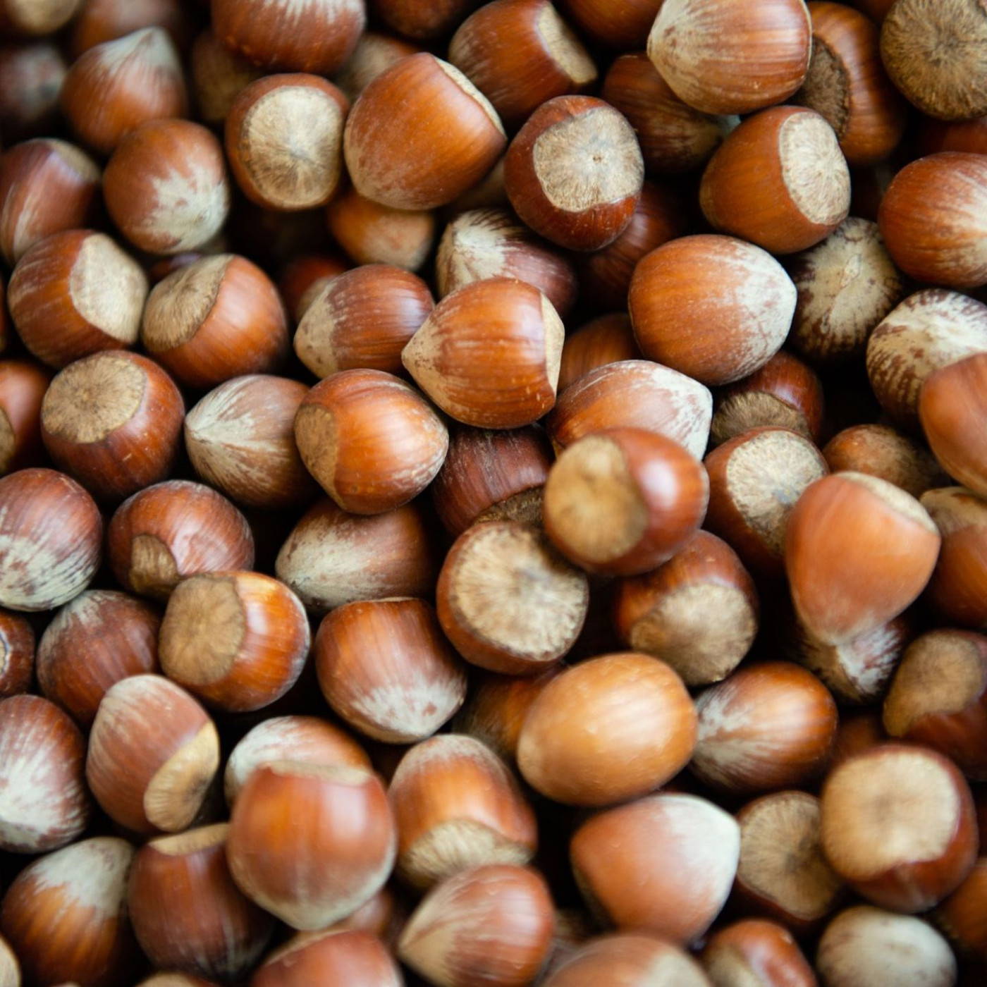 Weniger Haselnüsse aus Italien: Wird Nutella teurer?