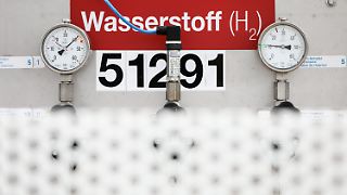 Rechnungshof beklagt hohe Risiken bei Wasserstoffstrategie