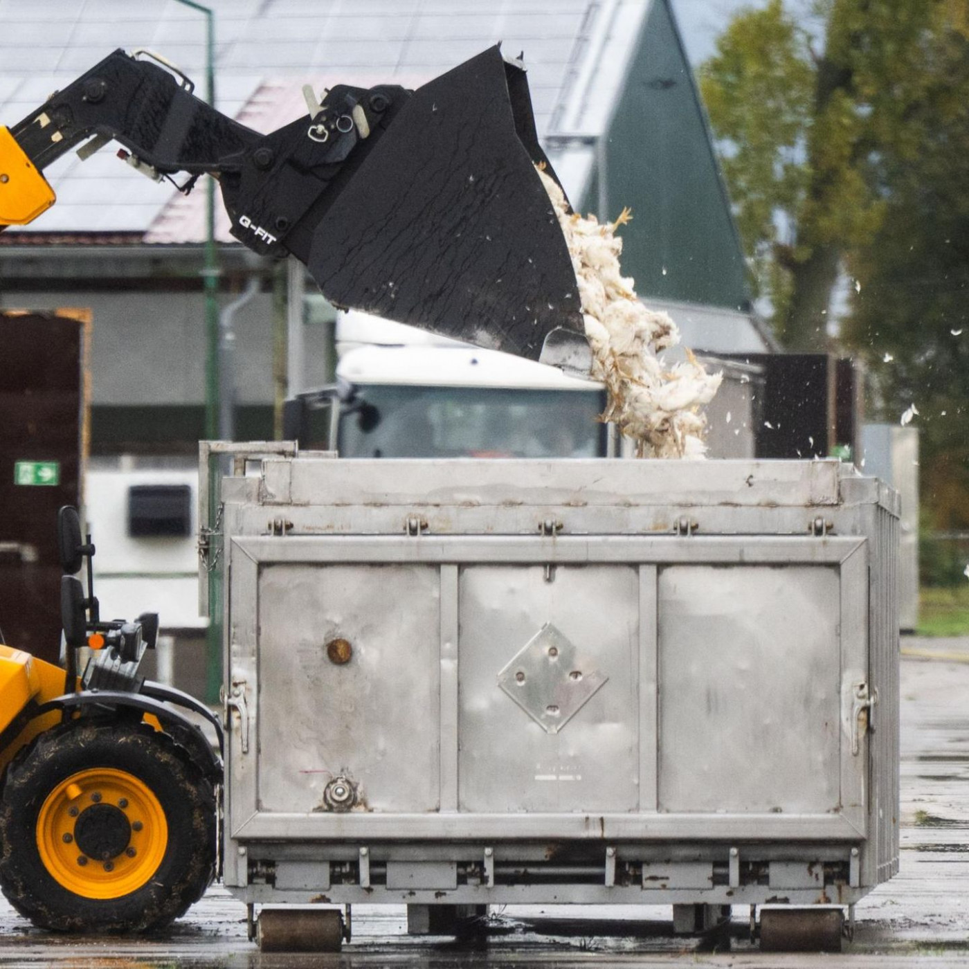 Warum 50 Euro Entschädigung pro Tier oft nicht genug sind