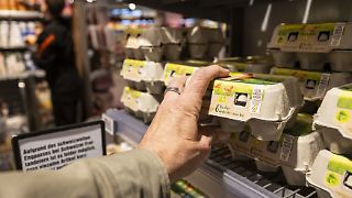 Geflügelfleisch und Eier finden reißenden Absatz