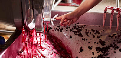 Wie Winzer versuchen, den Wein zu retten