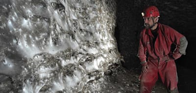 Hunderttausende Spinnen bilden tief in einer Höhle ein gigantisches Netz