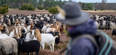 „Ein starrer Naturschutz steht dem Klimawandel hilflos gegenüber“
