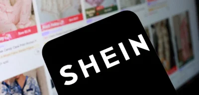 Handelsverband Deutschland fordert Großkontrolle von Shein-Paketen wie in Frankreich