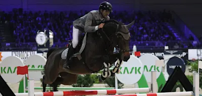 „Solche Bilder wollen wir hier nicht sehen“ – Vorwürfe gegen deutschen Reit-Olympiasieger