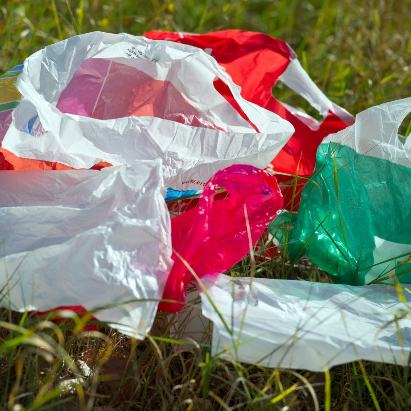 Umweltschützer fordern schärferes Plastiktüten-Verbot
