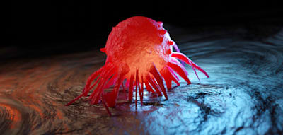 „Wer hier ansetzt, reduziert sein Krebsrisiko spürbar“