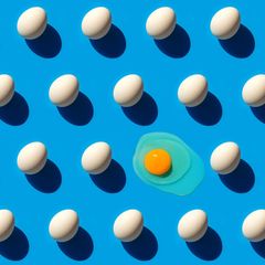 Ernährung für die Knie: "Das Prinzip ist: 'Protein first', Eiweiß zuerst"