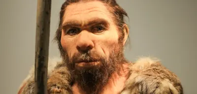 Neandertaler aßen offenbar Frauen und Kinder eines anderen Stammes