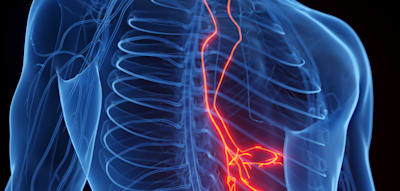 „Typ 4 wäre optimal“ – warum Ihr Stuhl mehr über Ihre Gesundheit sagt, als Sie denken