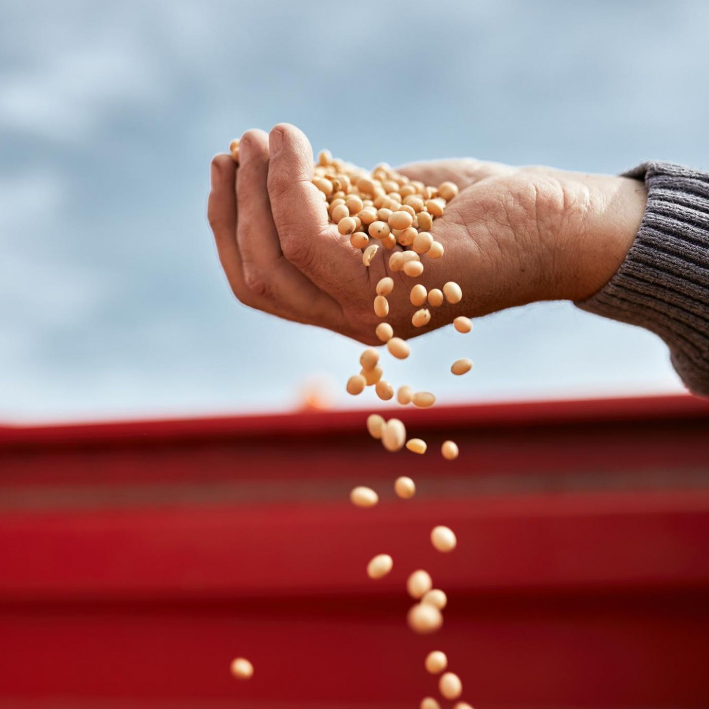 Diese Lebensmittel stecken voller gesunder Omega-3-Fettsäuren