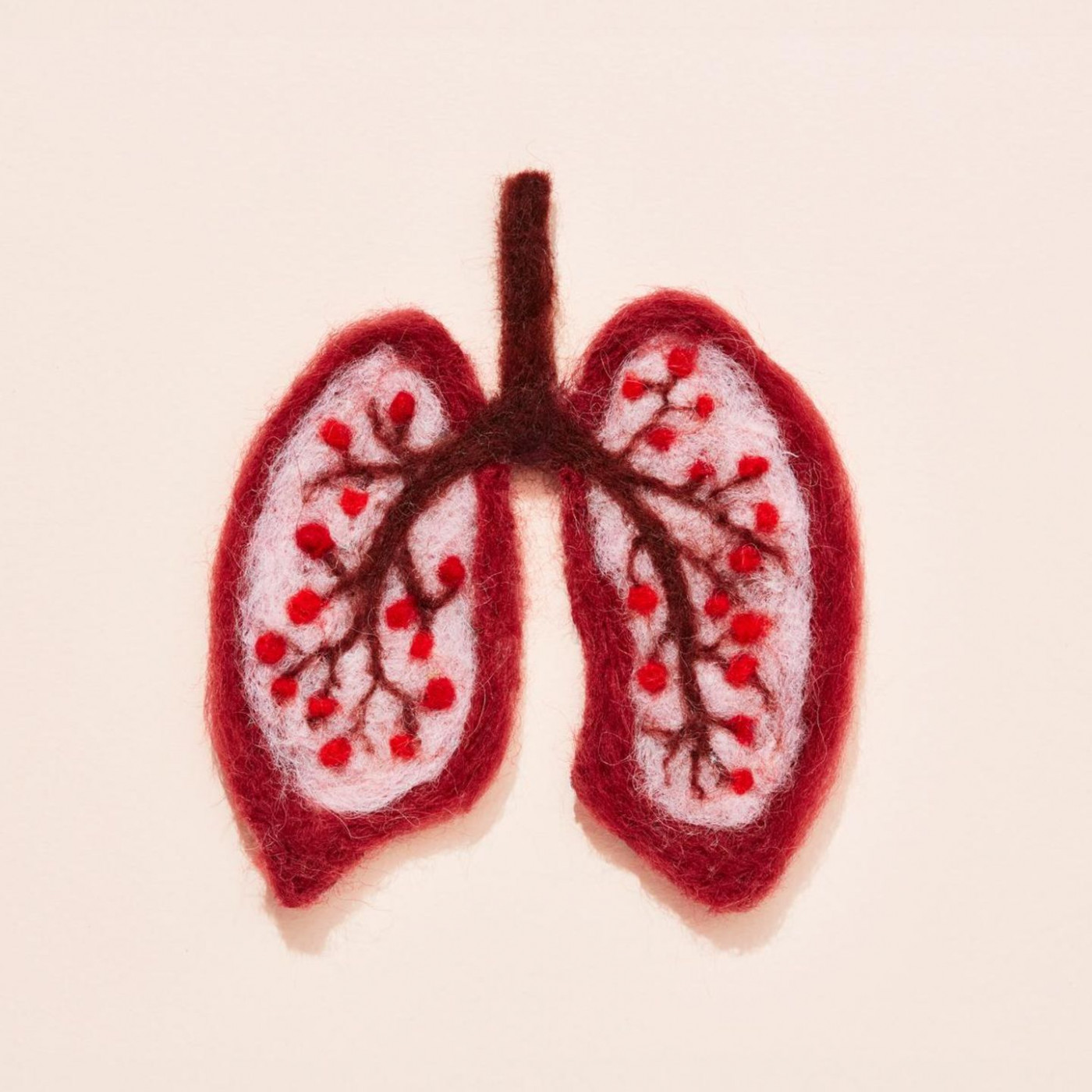 Die gefährliche Lungenkrankheit, die jeder ernst nehmen sollte