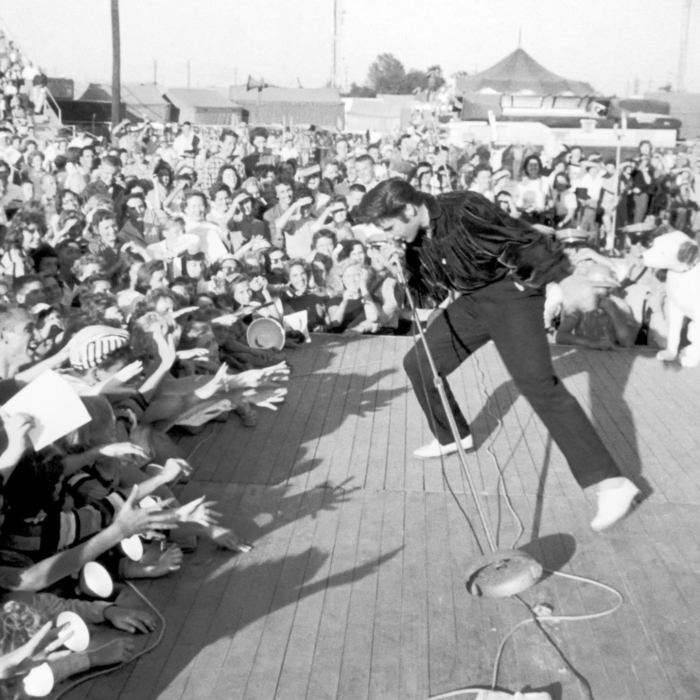 Die Qualen berühmter Köpfe