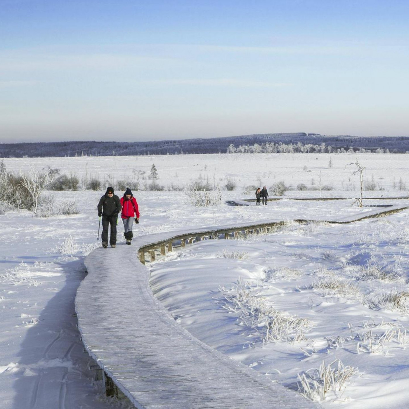 Ausschlafen, fr&uuml;hst&uuml;cken &ndash; Neujahrsspaziergang!
