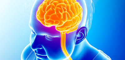 &bdquo;Antriebslosigkeit und Leistungsabfall&ldquo; &ndash; So h&auml;ngen Gehirn und Fett zusammen