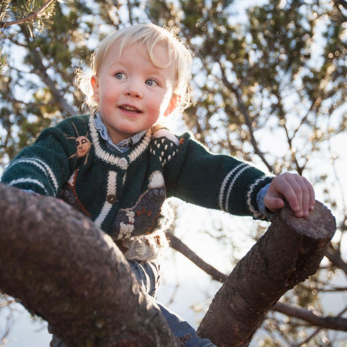 Mein Freund der Baum. Wie spielen in der Natur Geist und Seele st&auml;rkt