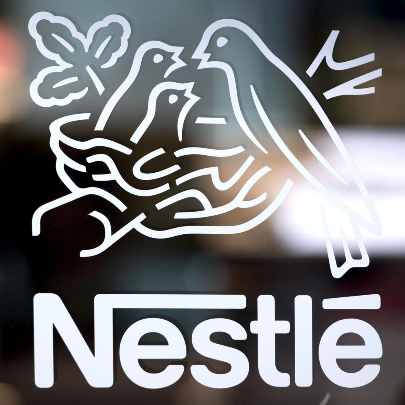 Nestl&eacute;-Konzern ruft S&auml;uglingsnahrung weltweit zur&uuml;ck