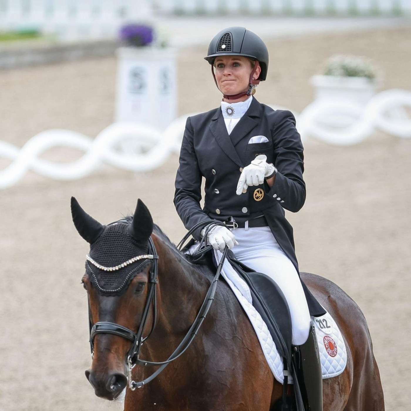 Dressurpferd Diallo pl&ouml;tzlich tot